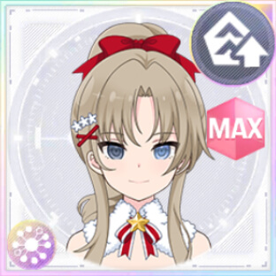 支援衣装 安孫子比呂美/クリスマスピクシー